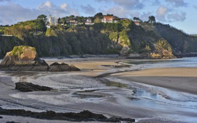 NOVEMBER MONTHLY PRINT