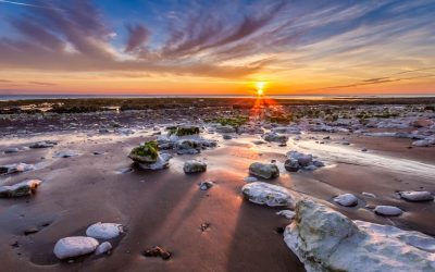 JANUARY 2020 MONTHLY PRINT