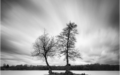 The Wonders Of The Sky A Lighthearted Look