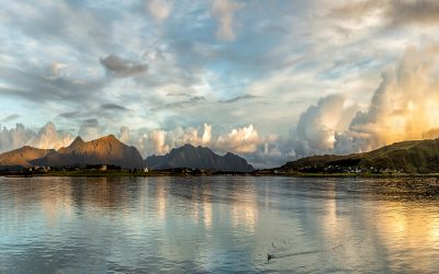 FEBRUARY’S MONTHLY PRINT