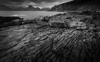 ANNUAL MONOCHROME PRINT COMPETITION 2020