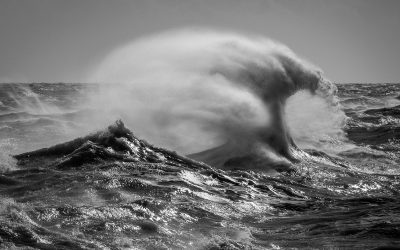 August Monthly PDI Winning  Images