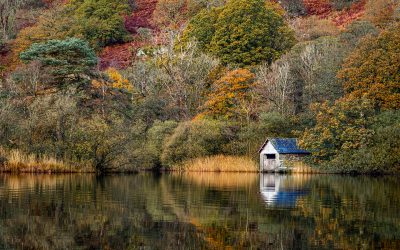 Half Yearly PDI & Theme In A Hat A Light-Hearted Look