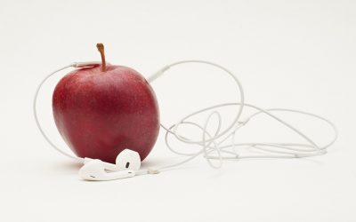 Still Life & Metre Cup A Light Hearted Look