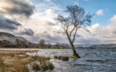 December Monthly PDI Winning Images