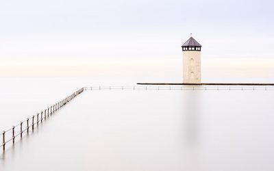 Annual PDI 2020/21 Winning Images