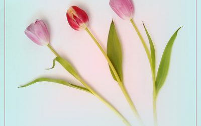 Chairman’s Choice (Table Top) 2021 Winning Images