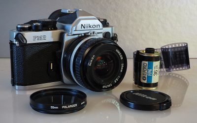 Metre Cup & Lane Still Life Trophy Winning Images