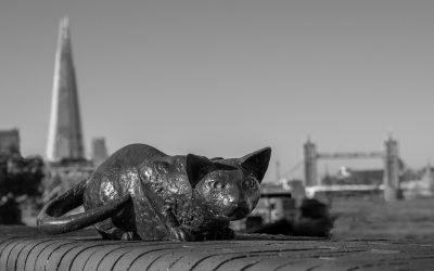 February Monthly Print Winning Images