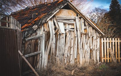 Chairman’s Choice 2022 Winning Images “Past it’s Best”