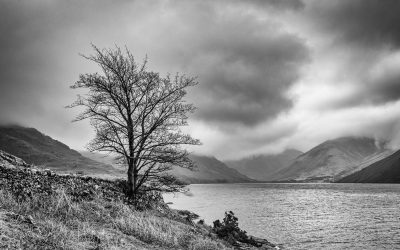 Annual Monochrome Print Winning Images