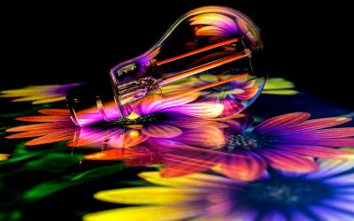 October 2022 Monthly Print Competition Winning Images