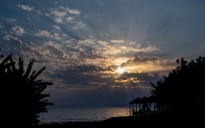 January Monthly Print Winning Images