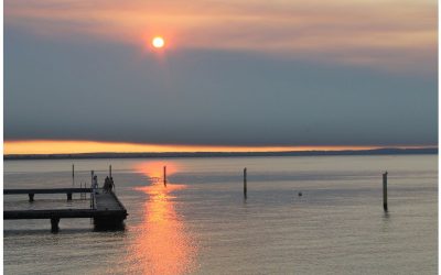 Half Yearly Print Winning Images