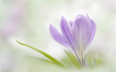 Half Yearly PDI Competition Winning Images