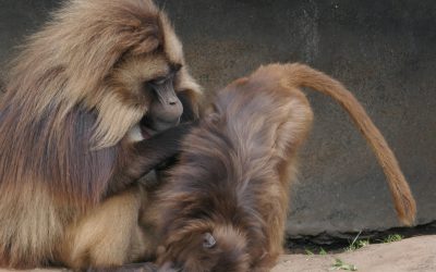 February PDI Competition Winning Images