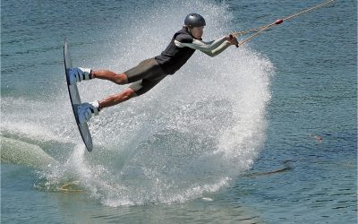 Annual PDI Competition Winning Images