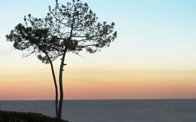 June Monthly PDI Competition Winning Images