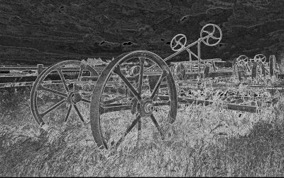 July Monthly Print (Creative) Winning Images