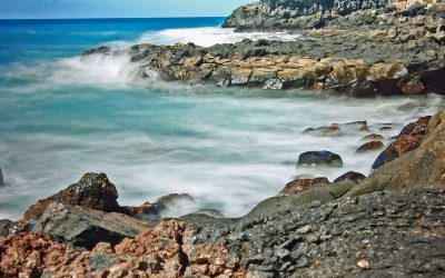 Half Yearly PDI Competition Winning Images