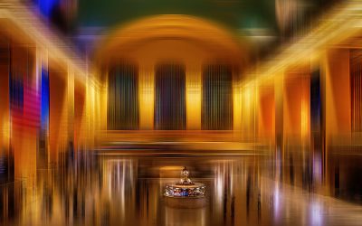 November Monthly Print Competition Winning Images