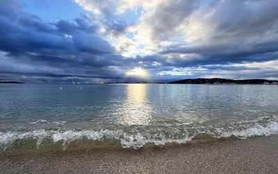 January 2024 Monthly Print Competition Winning Images