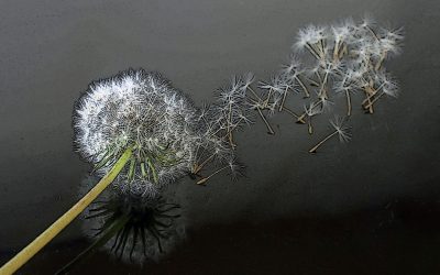 Half Yearly Print Competition Winning Images