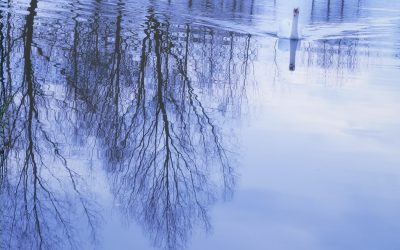 Annual Print Competition 2026 Winning Images