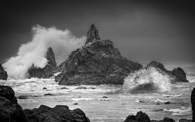 Annual Monochrome Print Of The Year Winning Images